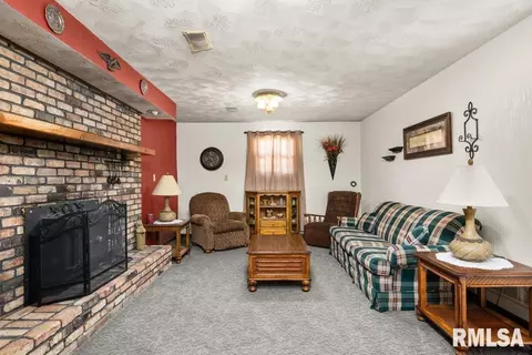 209 Henry Pl, Orion, IL 61273 photo 16