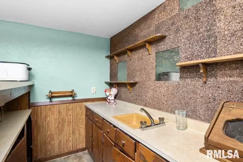 209 Henry Pl, Orion, IL 61273 photo 32
