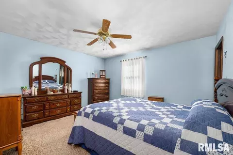 209 Henry Pl, Orion, IL 61273 photo 19