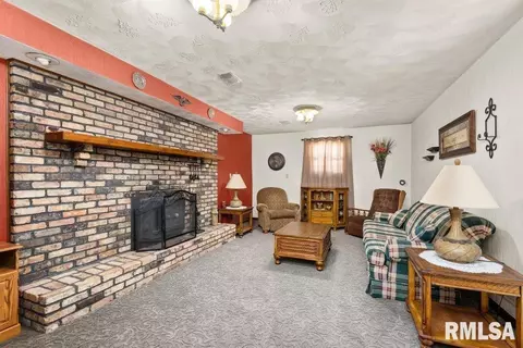 209 Henry Pl, Orion, IL 61273 photo 18