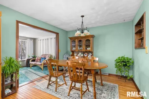 209 Henry Pl, Orion, IL 61273 photo 14