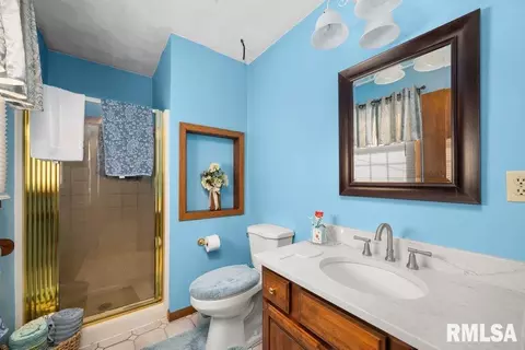 209 Henry Pl, Orion, IL 61273 photo 21