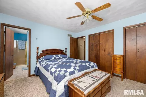 209 Henry Pl, Orion, IL 61273 photo 20