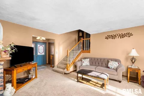 209 Henry Pl, Orion, IL 61273 photo 9