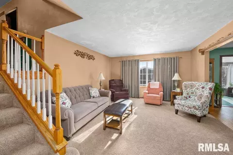 209 Henry Pl, Orion, IL 61273 photo 6