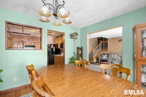 209 Henry Pl, Orion, IL 61273 photo 13