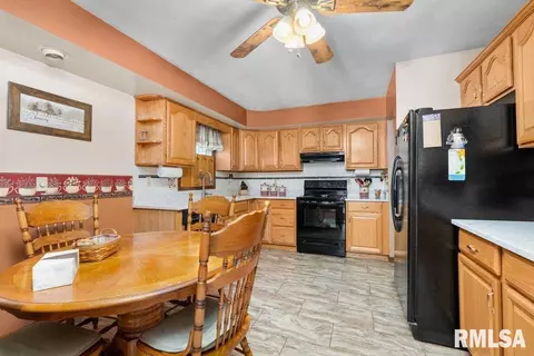 209 Henry Pl, Orion, IL 61273 photo 10