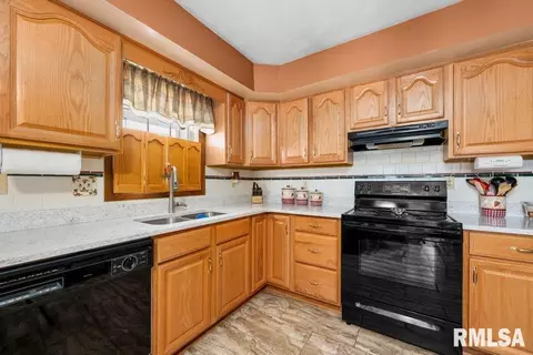 209 Henry Pl, Orion, IL 61273 photo 12