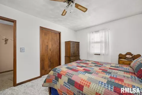 209 Henry Pl, Orion, IL 61273 photo 23