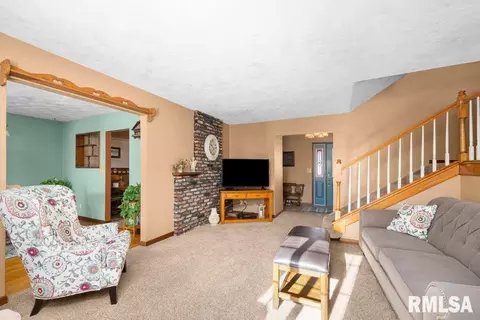 209 Henry Pl, Orion, IL 61273 photo 8