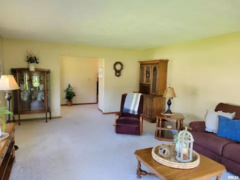 400 N Anna St, Atkinson, IL 61235 photo 20