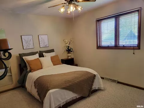 400 N Anna St, Atkinson, IL 61235 photo 14