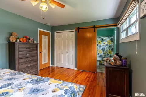 215 Maple Ave, Morrison, IL 61270 photo 18