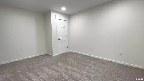 102 Junction St, Ursa, IL 62376 photo 27