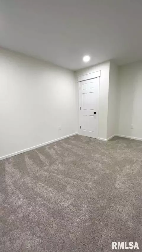 102 Junction St, Ursa, IL 62376 photo 28