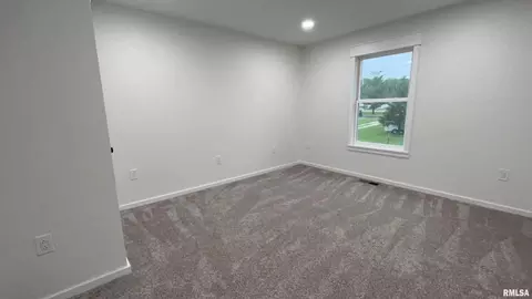102 Junction St, Ursa, IL 62376 photo 24