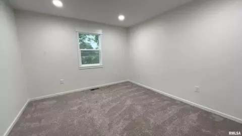 102 Junction St, Ursa, IL 62376 photo 21