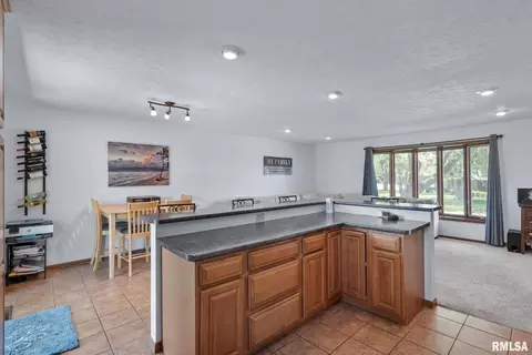 204 Blackhawk Dr, Park View, IA 52748 photo 9