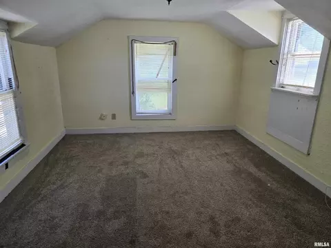 558 E Park St, Geneseo, IL 61254 photo 13