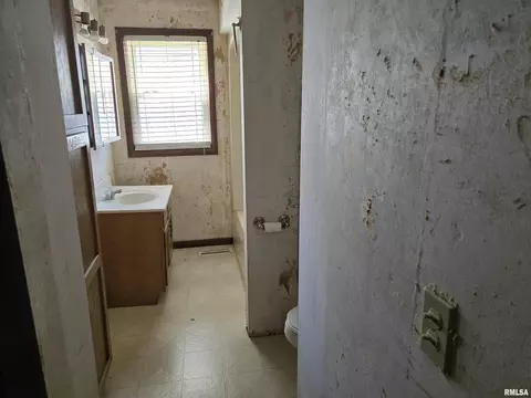 558 E Park St, Geneseo, IL 61254 photo 10