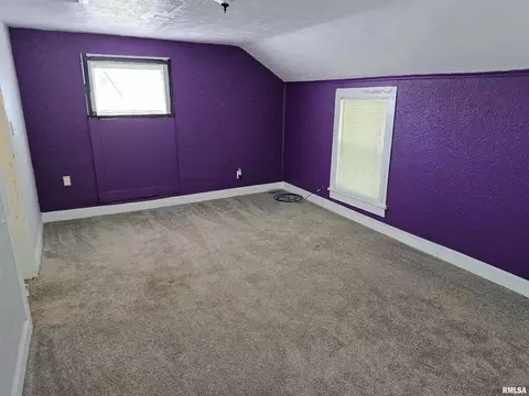 558 E Park St, Geneseo, IL 61254 photo 15