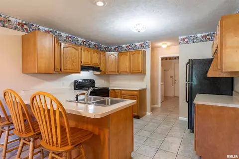 1511 E Willow Dr, Marion, IL 62959 photo 3