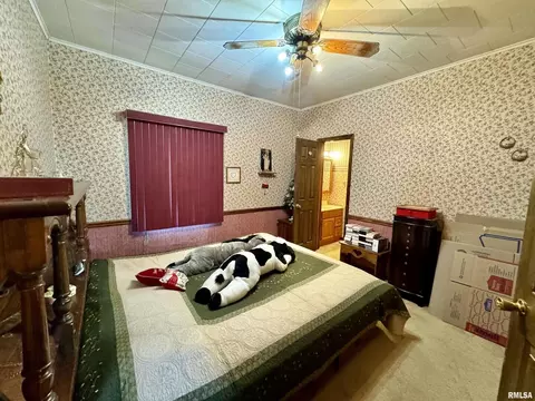404 N Seba St, Hurst, IL 62949 photo 11