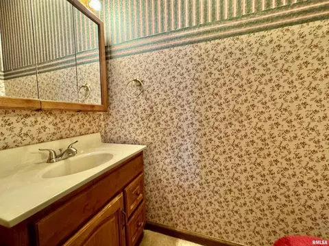 404 N Seba St, Hurst, IL 62949 photo 13