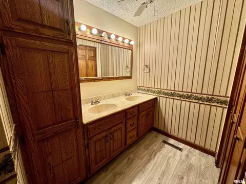 404 N Seba St, Hurst, IL 62949 photo 19