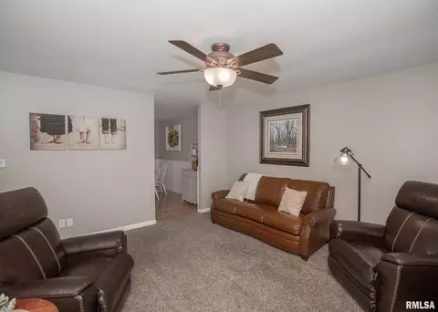 445 6th St E, Milan, IL 61264 photo 13