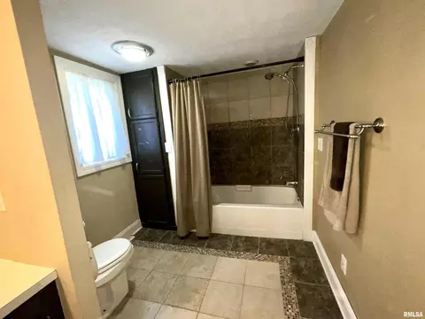522 Exchange St, Geneseo, IL 61254 photo 5