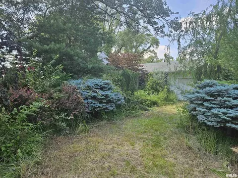 21219 W 124th Ave, Illinois City, IL 61259