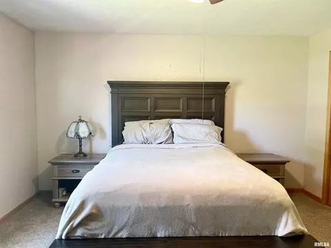 1752 Shutters St, Thomson, IL 61285 photo 17