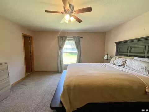 1752 Shutters St, Thomson, IL 61285 photo 19
