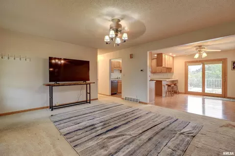 802 6th Ave, Fulton, IL 61252 photo 8
