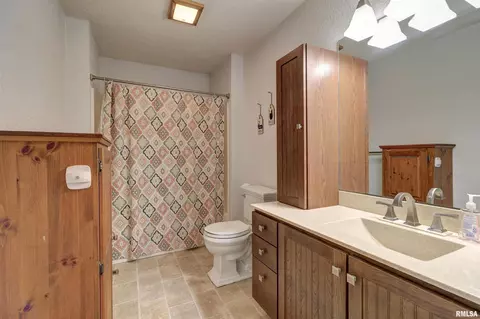 802 6th Ave, Fulton, IL 61252 photo 12