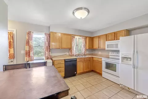 507 SW 3rd Ave, Aledo, IL 61231 photo 5