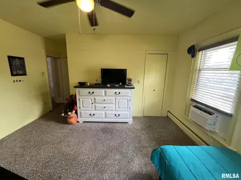 728 NW 3rd Ave, Galva, IL 61434 photo 41