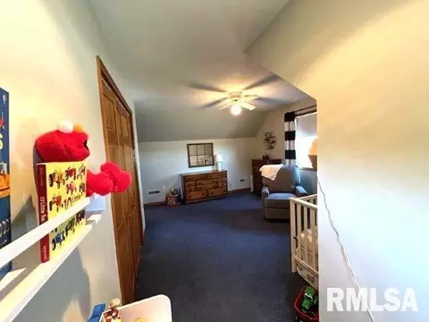 18136 County Highway 57, Hull, IL 62343 photo 39