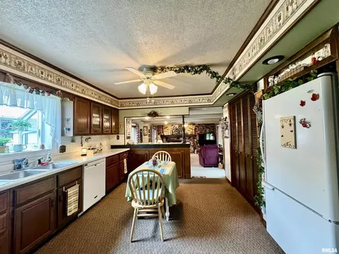 412 NE 3rd Ave, Aledo, IL 61231 photo 13