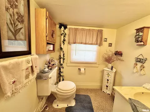 412 NE 3rd Ave, Aledo, IL 61231 photo 26
