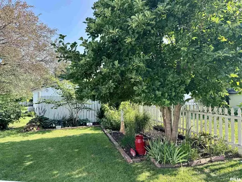 412 NE 3rd Ave, Aledo, IL 61231 photo 7