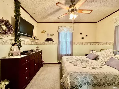 412 NE 3rd Ave, Aledo, IL 61231 photo 22