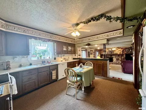 412 NE 3rd Ave, Aledo, IL 61231 photo 12