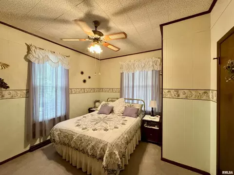 412 NE 3rd Ave, Aledo, IL 61231 photo 21