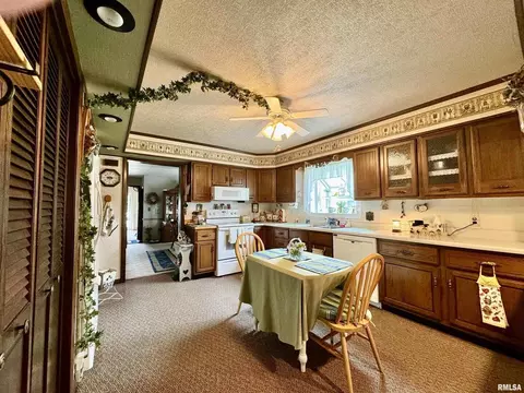 412 NE 3rd Ave, Aledo, IL 61231 photo 11