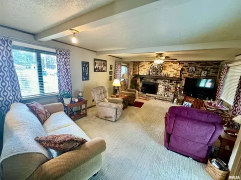 412 NE 3rd Ave, Aledo, IL 61231 photo 15