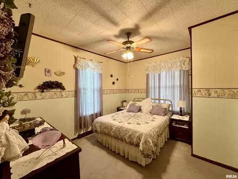 412 NE 3rd Ave, Aledo, IL 61231 photo 20