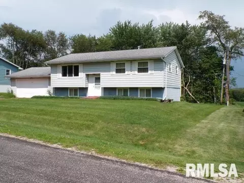 23 Sunny Hill Dr, Orion, IL 61273