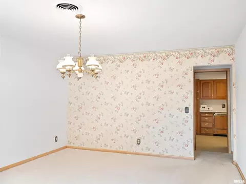 613 E Walnut St, Geneseo, IL 61254 photo 20
